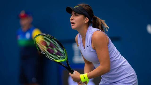 险评估者皱 险评估者皱